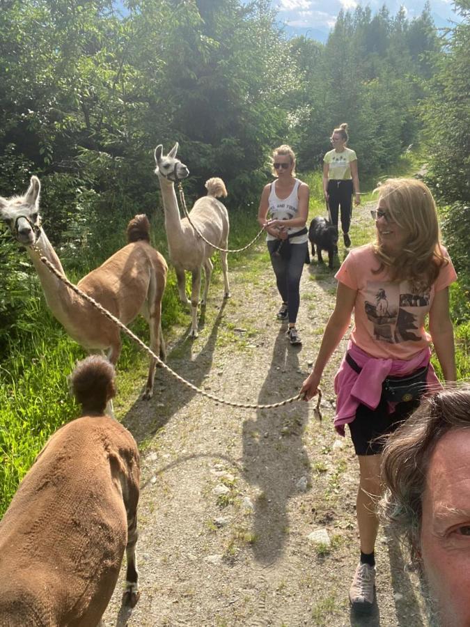 Naturidyll Brunner Kostendorf Εξωτερικό φωτογραφία